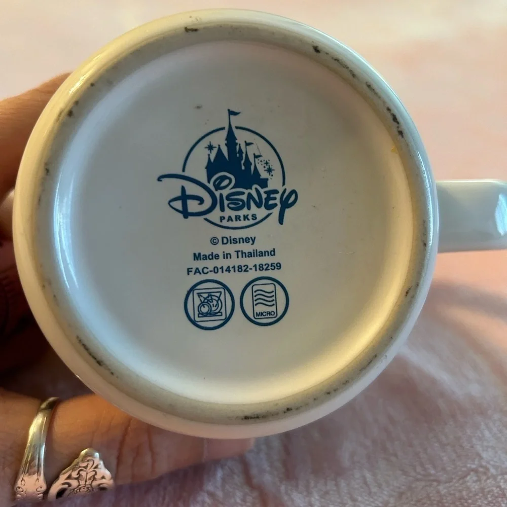 Disney great used